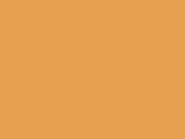 Uterák pre hostí Rhine 30x50 cm - bright orange