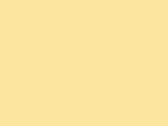 Uterák pre hostí Rhine 30x50 cm - yellow