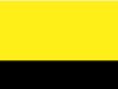 Ikonický vak - yellow/black