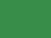 6-panelová šiltovka Memphis s nízkym profilom - emerald