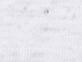 Unisex tričko Triblend - white fleck triblend