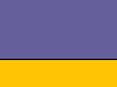 Dvojfarebná klasická šiltovka Snapback - purple/gold