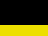 Čiapka Two-Tone Beanie - black/fluorescent yellow