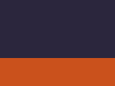 Čiapka Reversible Fleece Skull - navy/orange