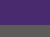 Čiapka Reversible Fleece Skull - purple/charcoal