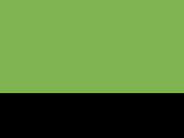 Pánska bunda Activity Soft Shell - vivid green/black