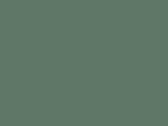 Vesta Safari - lichen green