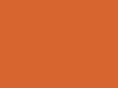 Ľadvinka - orange
