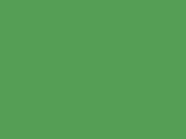 Filtračné rúško Typ FFP2 - green